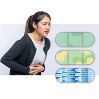 Patch chauffant à base de plantes d'absinthe crampe menstruelle revivre les coussinets chauffants bâton peau anti allergie patch chauffant pour la douleur de la période