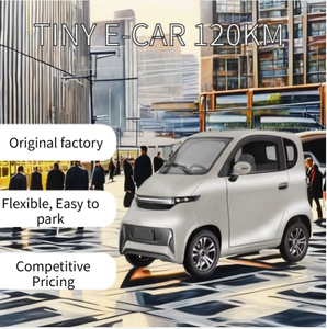 Microcoche Eléctrico de Fábrica, 2 <span class=keywords><strong>Plazas</strong></span>, SQ4, 1500W, 60V, Mini Coche para Adultos <span class=keywords><strong>sin</strong></span> Licencia de Conducir, Cuero Oscuro, R15, Cámara - Product Image 4