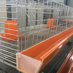 Chicken Coop Cage Farming Equipment Chicken <strong>Feeder</strong> a Type Battery Cage Rooster Cages for Laying <strong>Hens</strong> 2000-5000 <strong>Birds</strong> Capacity - Product Image 4