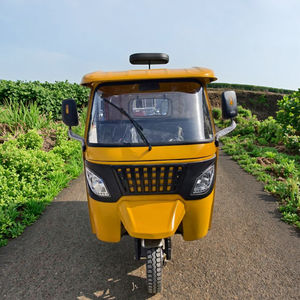 Triciclo a Motore a Benzina con Ruota Singola Superiore, Tre Posti, per Uso Domestico, Trasporto Merci e Agricoltura - Product Image 2