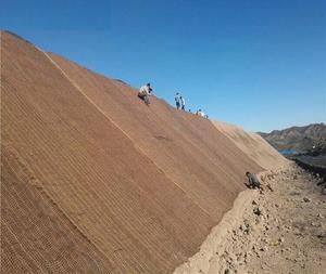 Coconut Coir Mat Natural Fiber <strong>Geotextile</strong> <strong>Jute</strong> Slope Stabilization <strong>Geotextile</strong> - Product Image 4