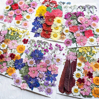 Décoration d'intérieur, décoration d'événements de mariage, fleurs séchées mélangées pressées pour l'artisanat en résine, fleurs séchées naturelles réelles