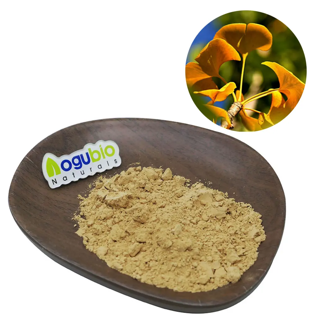 Puur Ginkgo Biloba Bladextract/Ginkgo Biloba Extract Egb 24Flavone & 6 Lacton Ginkgo Biloba Extract Poeder