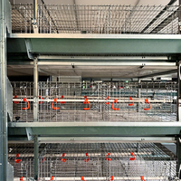 Cage à poulet de couche de type H pour équipement de volaille prêt à expédier système de cage à poulet en fil soudé galvanisé à levage automatique