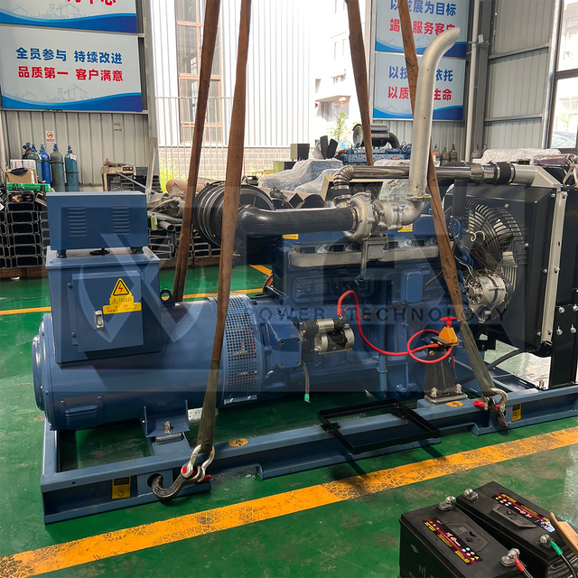 Dual Fuel Generac 10KW 15KW 20KW LPG Gas Generator Single/3 Phase Residential Natural Gas Power