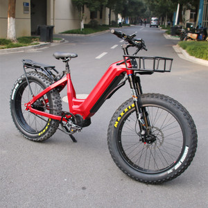 2024 nouveau vélo de saleté électrique 48V 1000W Step Thru Ebike avec moteur central 14 vitesses <span class=keywords><strong>ROHLOFF</strong></span> IGH <span class=keywords><strong>moyeu</strong></span> entraînement par courroie E vélo - Product Image 2