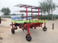 Transplanteuse automatique autopropulsée à deux rangs pour semis de légumes (oignons, choux) - Vente en gros du Shandong