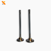 Complete New Replacement for C12 High Quality Diesel Engine Assembly Intake Exhaust Valves Truck Tappets 12 Months Warranty