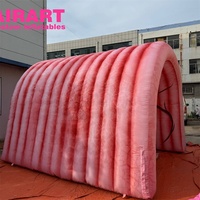 Tunnel gonflable rose sur mesure pour exposition, tunnel gonflable en forme d'organes gastro-intestinaux