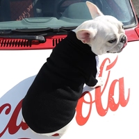 Manteau en jean de luxe pour chiens, style pull de créateur, petite taille, motif lettres, vêtement mignon pour animaux de compagnie