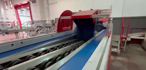 Sermac 2 líneas para aguacate en España diseño profesional línea de clasificación de frutas usadas al por mayor clasificador automático de frutas clasificador - Product Image 5