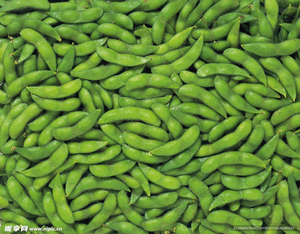 Proveedor Verificado en China de Granos de Edamame Congelados IQF con Certificación HACCP <span class=keywords><strong>y</strong></span> BRC, Ofrece Soja Congelada de Buena Calidad - Product Image 2