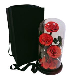 חיה ורדים משומר נצחי 3 פרחים סיטונאי ורד נצחי מתנה ליום של ולנטיין זכוכית - Product Image 5