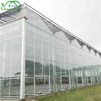Grande serre agricole multi-chapelles en verre avec système d'ombrage intérieur et extérieur pour légumes/fleurs/fruits