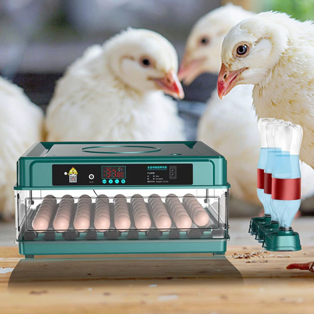Best Price Fully Automatic Electric Egg Incubator Easy Use 15/30/48/70/130 Pcs Capacity Mini Incubator for 48 Chicken Quail Egg