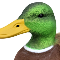 Kingdom — décodeur de chasse au canard fabriqué en chine, vente en gros, accessoire de grande taille, pour la chasse