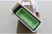 Bacs à plantes rectangulaires en plastique auto-arrosants, bacs de culture en résine pour légumes, pour jardinage intérieur sur balcon ou rebord de fenêtre