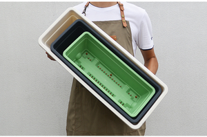 Fioriere Rettangolari in Plastica Autoirriganti, Vasi in Resina per Coltivazione di Ortaggi, Ideali per Giardinaggio Interno, Balconi e Davanzali - Product Image 6