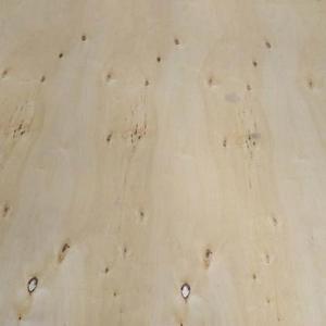 Prix de gros Contreplaqué de bouleau Matériaux en bois de qualité CP/C Tailles multiples Feuilles de bois pour stratifié ou placage - Product Image 4