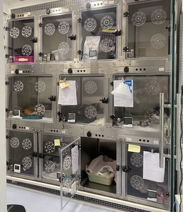 <span class=keywords><strong>Cage</strong></span> de récupération d'hôpital vétérinaire Produits pour animaux de compagnie <span class=keywords><strong>Cage</strong></span> médicale de récupération d'équipement vétérinaire - Product Image 4