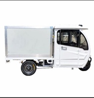 Tricycle solaire sur mesure avec caisse frigorifique mobile pour la livraison de fruits de mer, viande et légumes, facile à assembler
