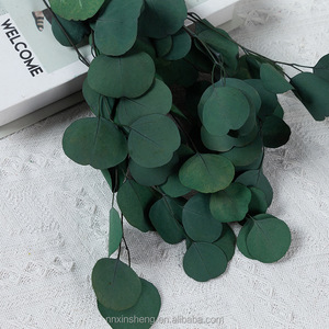 Decoraciones Para <span class=keywords><strong>El</strong></span> Hogar Paredes Decoraciones Para <span class=keywords><strong>El</strong></span> Hogar Decoración para <span class=keywords><strong>el</strong></span> hogar Flores preservadas baratas Plantas secas reales eternas - Product Image 5