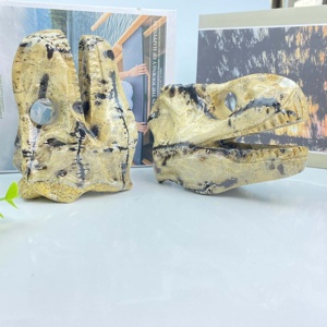 Tinh Thể Tự Nhiên Khủng Long Hộp Sọ Hóa Thạch Mô Hình Khắc Thủ Công Khủng Long Đồ Chơi Đầu Cho Trẻ Em Vui Vẻ Động Vật & Khủng Long Bộ Sưu Tập Mục - Product Image 1