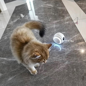 M6 Smart, M6 Smart Wholesale, Robot IA intelligent interactif, balle roulante en caoutchouc, caméra FHD, contrôle sans fil via application intelligente, pour chats et animaux de compagnie - Product Image 2