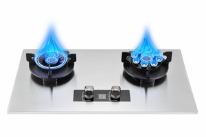 D quemadores plancha electrodomésticos horno <span class=keywords><strong>de</strong></span> <span class=keywords><strong>placa</strong></span> caliente <span class=keywords><strong>de</strong></span> butano 2 <span class=keywords><strong>dos</strong></span> cabezales <span class=keywords><strong>de</strong></span> quemador gama propan ecooktops estufa <span class=keywords><strong>de</strong></span> <span class=keywords><strong>gas</strong></span> cocina precio bajo - Product Image 6