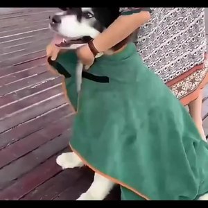 नया क्लासिक ठोस सजावटी लुभावनी पॉलिएस्टर पालतू कुत्ते बिल्ली स्नान तौलिया-सभी मौसम त्वरित शुष्क टिकाऊ धोने योग्य - Product Image 2