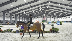 Design moderno struttura in acciaio arene equestre costruzione prefabbricata cavallo Arena stabile per la costruzione di officine per la casa ufficio - Product Image 3