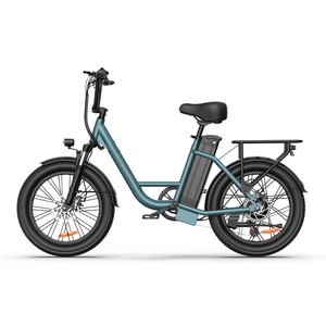 OEM Accepted Single Motor 20 Inch Fat Tire Electric Mountain Bike Equipped with a 48V13Ah Lithium Batteryurban Portable Model - Product Image 1