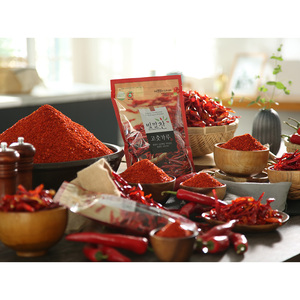 [Biggalchan 100g] Assaisonnement Premium Récolte de Saison pour la Fabrication de Cornichons, Poudre de Piment Coréen Frais en Flocons - Product Image 1