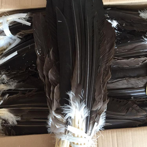 Wholesale 11-14 Inci/30-35Cm Eagle Bulu Condor Bulu, DIY Dekorasi Acara