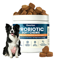 Friandises Probiotiques Personnalisées pour Chiens : Soutien Digestif, Santé Intestinale, Immunité, Équilibre Quotidien, Compléments de Soins pour Animaux de Compagnie