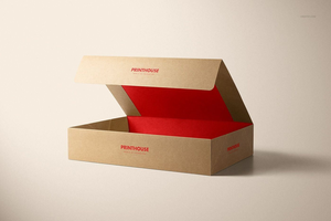 Cajas de Cartón Corrugado Impresas Personalizadas JN, Cajas de Embalaje Ecológicas, Cajas de Cartón Corrugado para Envío - Product Image 3