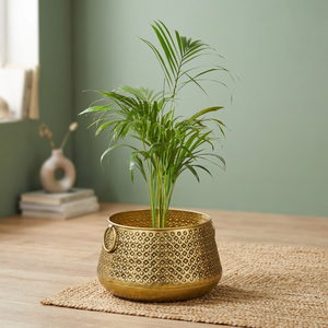 Les mini jardinières suspendues en métal à la mode élèvent votre jardin et votre maison avec des conceptions élégantes pour l'usage de plancher de balcon et de salon - Product Image 6