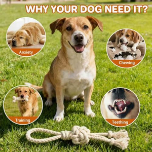 Jouets à mâcher pour chiens personnalisés en gros, jouets indestructibles pour l'entraînement, jouets en corde pour animaux de compagnie pour le nettoyage des dents, jouets à mâcher en corde de coton pour chiens - Product Image 3
