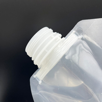 Pochette à eau en plastique transparente réutilisable sans BPA personnalisée, 5 litres, sac à eau de 1 gallon avec poignée