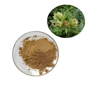 Poudre d'extrait de Lespedeza d'entrepôt naturel en gros de qualité supérieure 100% poudre de fleur naturelle