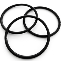 Überlegene Dichtungsleistung Maßgefertigter Schwarzer FKM O-Ring für Hochleistungs-Hochtemperatur-Industriepumpenkomponenten