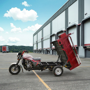 Trung Quốc nhà máy 150cc làm mát bằng không khí ba bánh xăng động cơ ba bánh xe Cargo ba bánh nhà sản xuất - Product Image 4