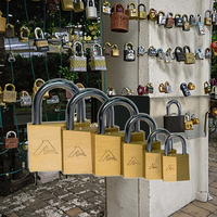 Cadenas antivol en laiton losange de 25, 30, 40, 50 mm, multi-spécifications, directement de l'usine, pour entrepôts et magasins sécurisés