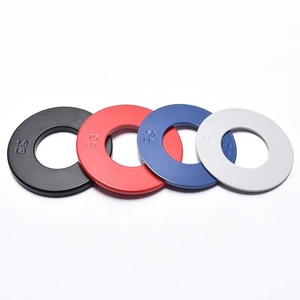 2024 grosir Gym baja micro-weight fraksional pelat perubahan barbel piring penyimpanan berat warna kustom tersedia untuk - Product Image 1