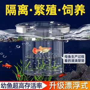 Caja de Cría de Guppys de Plástico, Tanque de Aislamiento para Cría, Caja de Desovación para Guppys Zebra <span class=keywords><strong>Danio</strong></span>, Divisor de Acuario, Incubadora para Peces Pequeños - Product Image 4