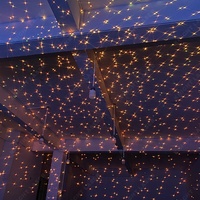 Système de spectacle laser extérieur 5W effet ciel étoilé et lucioles pour distributeurs certifiés CE RoHS