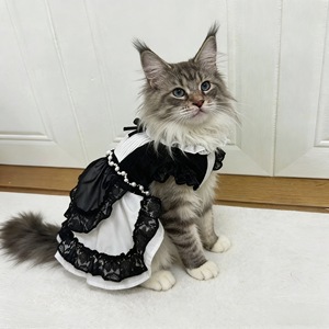 <b>Cute</b> Pet Dress With Flutter Sleeves And Bows Black Polyester Skirt For Cats Dogs Teddy <b>Bears</b> Bichons Spring Summer - Product Image 2