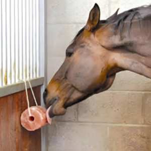 पशुधन और पालतू जानवरों के लिए 2-3 किलो प्राकृतिक हिमालयन चाट नमक - मवेशी, घोड़े और गाय के लिए खनिज अनुपूरक - Product Image 2