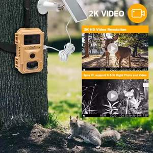 Caméra de chasse étanche IP66 4G basse consommation 4MP Photo Alimentée par énergie solaire Suivi de mouvement par IA Caméra solaire Vision nocturne couleur - Product Image 4