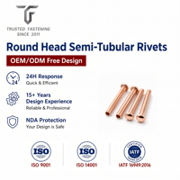 Rivets semi-tubulaires à tête ronde personnalisés TianFang pour poignées d'ustensiles de cuisine, prototype, cuivre étamé, tailles personnalisées, fourniture OEM ODM